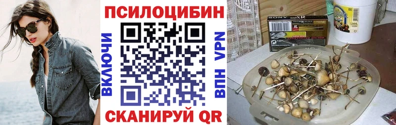 что такое   Сызрань  Галлюциногенные грибы мухоморы 