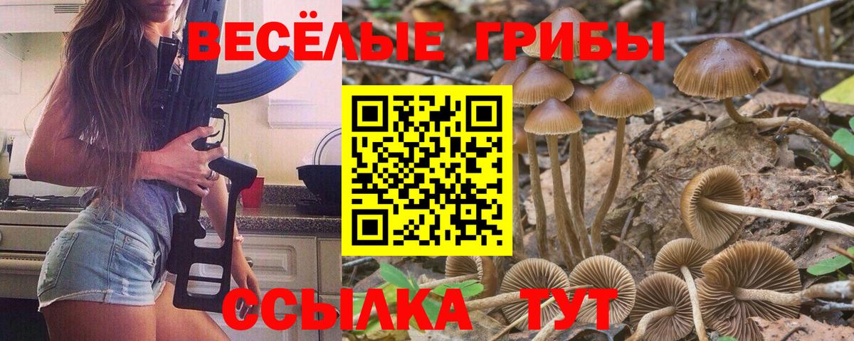 купить   Галлюциногенные грибы Magic Shrooms  Вход с VPN  Сызрань 