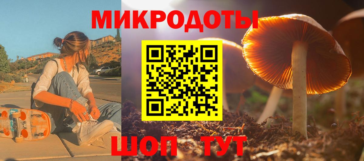 Псилоцибиновые грибы Psilocybine cubensis Сызрань